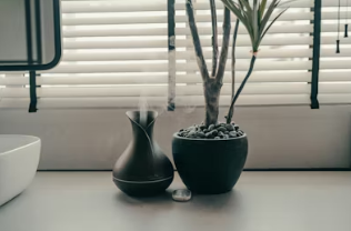 환기 방법 미세먼지 배출과 실내 공기 정화 가이드