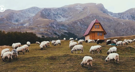 청년 월세 지원금