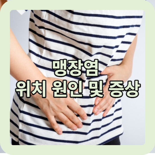 맹장염 위치 원인 및 증상
