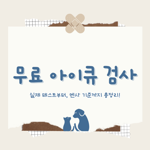 무료 아이큐 검사 – 정확도와 주의할 점 총정리