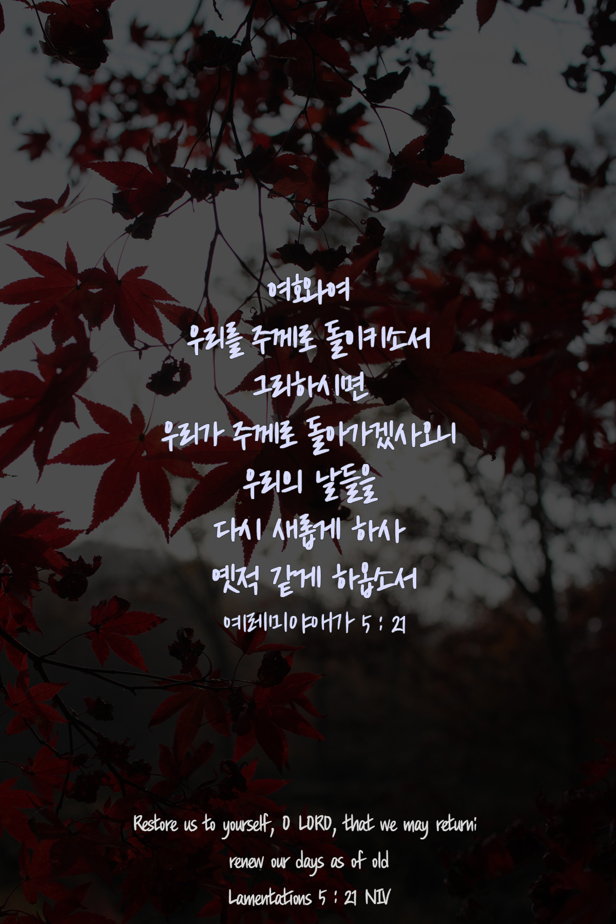 예레미야애가 5장