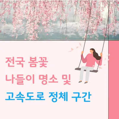 전국 봄꽃 나들이 명소 및 고속도로 정체 구간 정리
