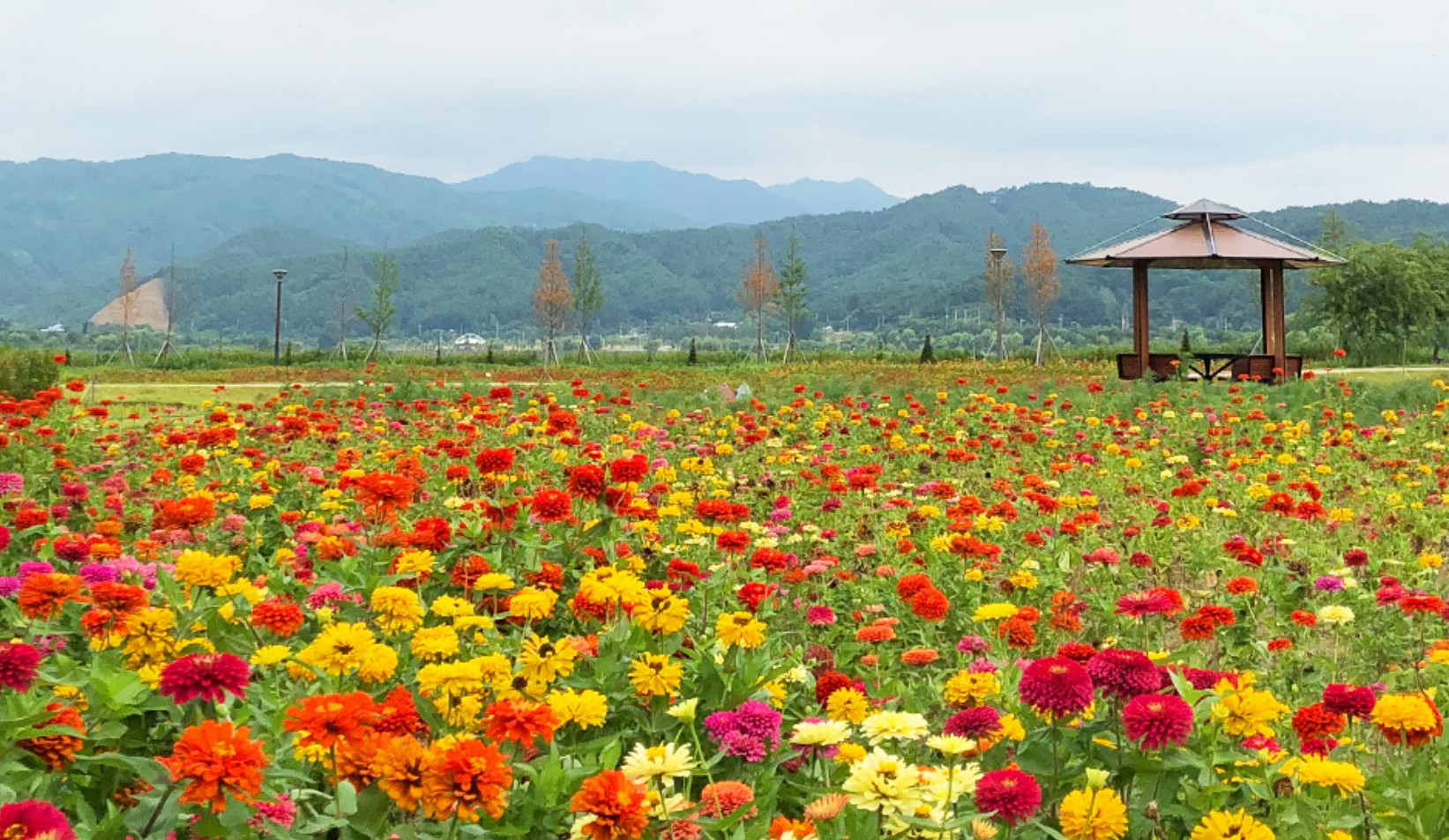 어버이날 전국 꽃 나들이 추천