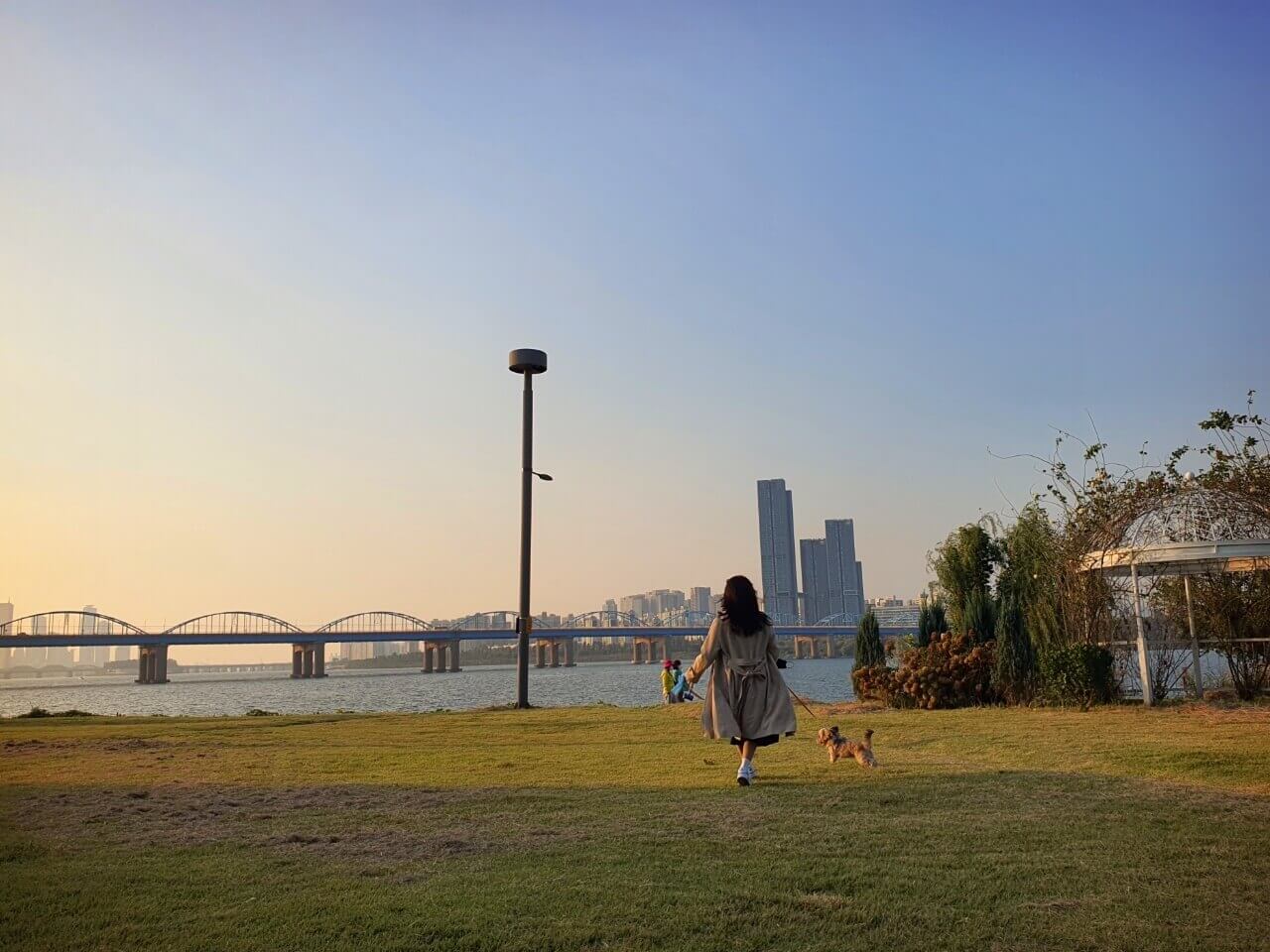 노을 지는 한강가에서 언니랑 노는 중인 강아지