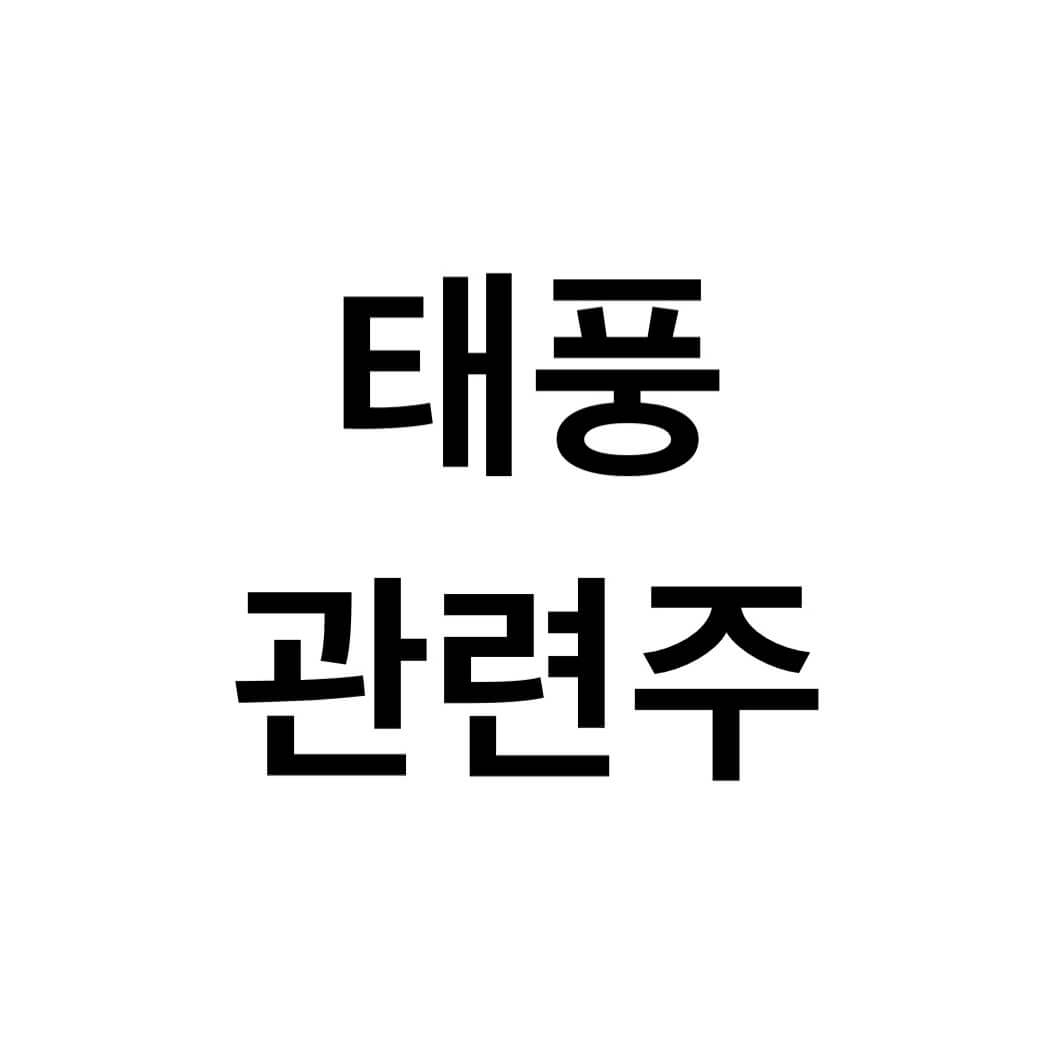 태풍-관련주