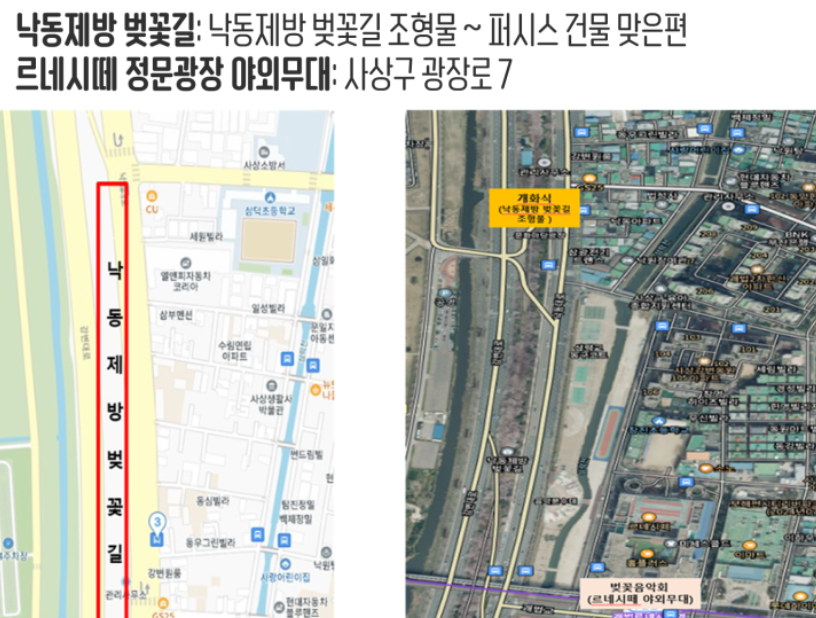 부산 낙동강 정원 벚꽃 축제