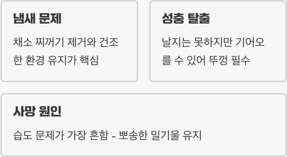 초보 집사 필독! 밀웜 키우기 A to Z (사육통, 먹이, 번식까지 완벽 가이드)