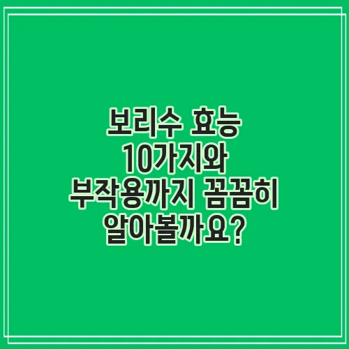 보리수 효능 10가지와 부작용까지 꼼꼼히 알아볼까요?