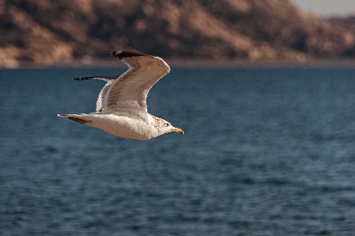 영화 여행자들 리뷰