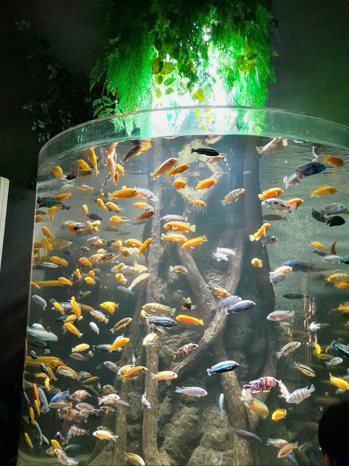 대전 신세계 엑스포 아쿠아리움 할인 주차