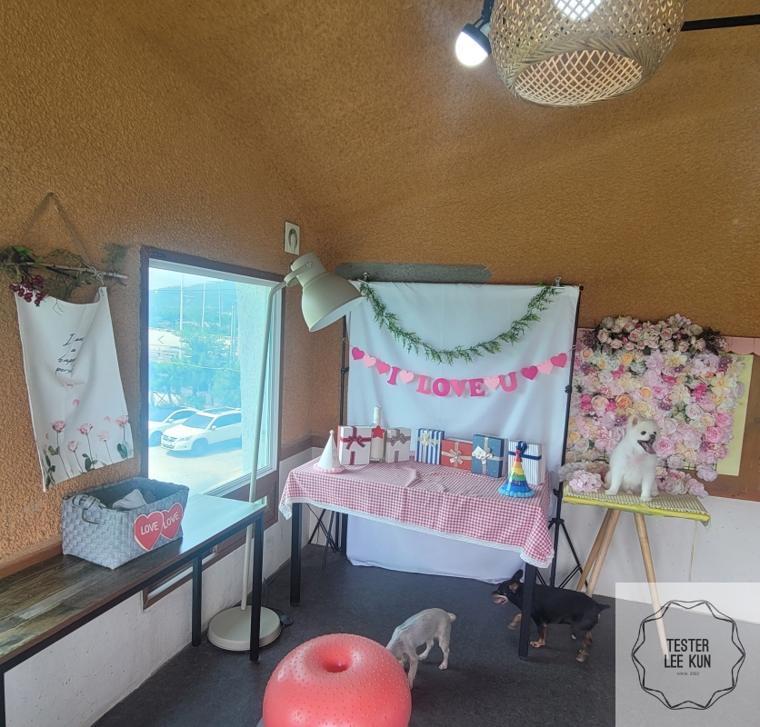 몽썸 포토존 사진