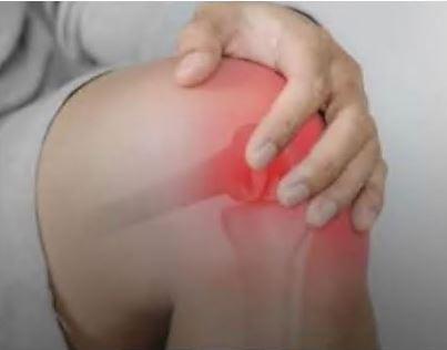 콘드로이친 효능