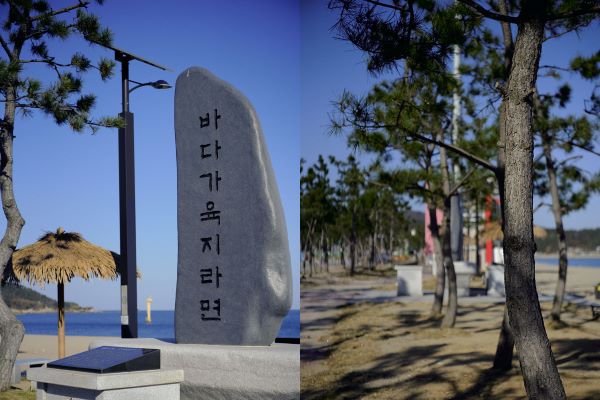 나정고운모래해변_주변전경