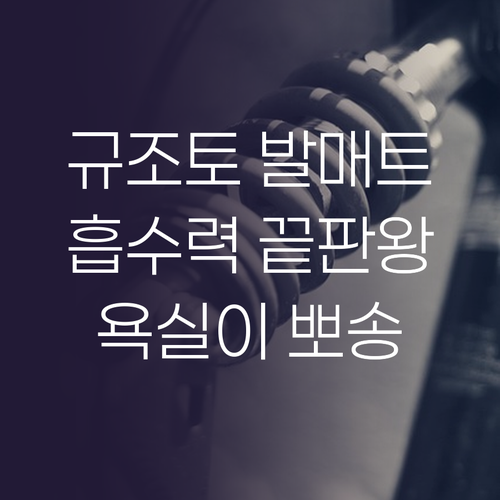 깨지지 않는 규조토 발매트의 놀라운 ..