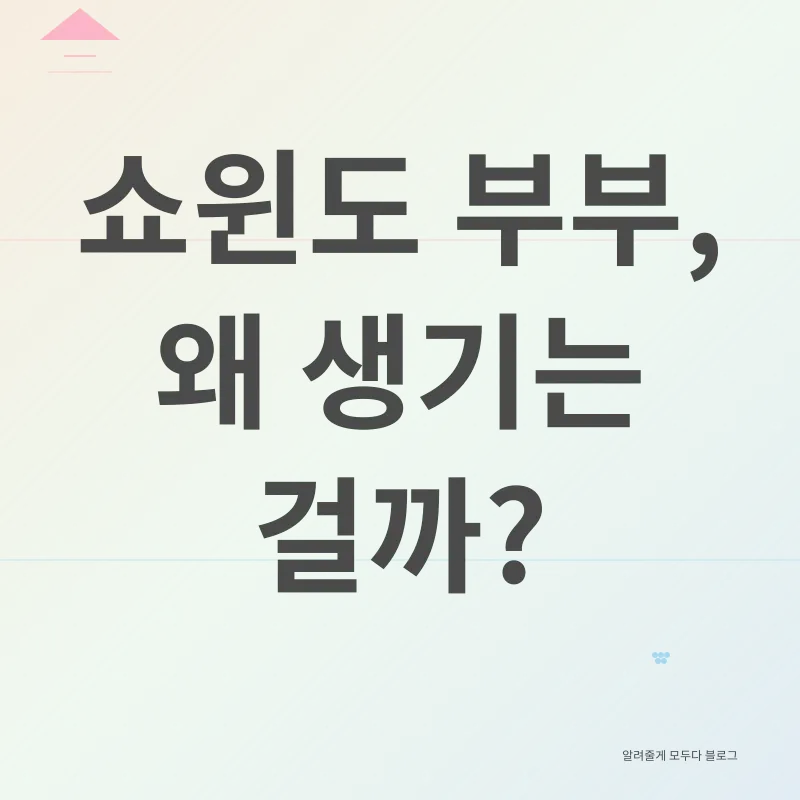 쇼윈도 부부_1