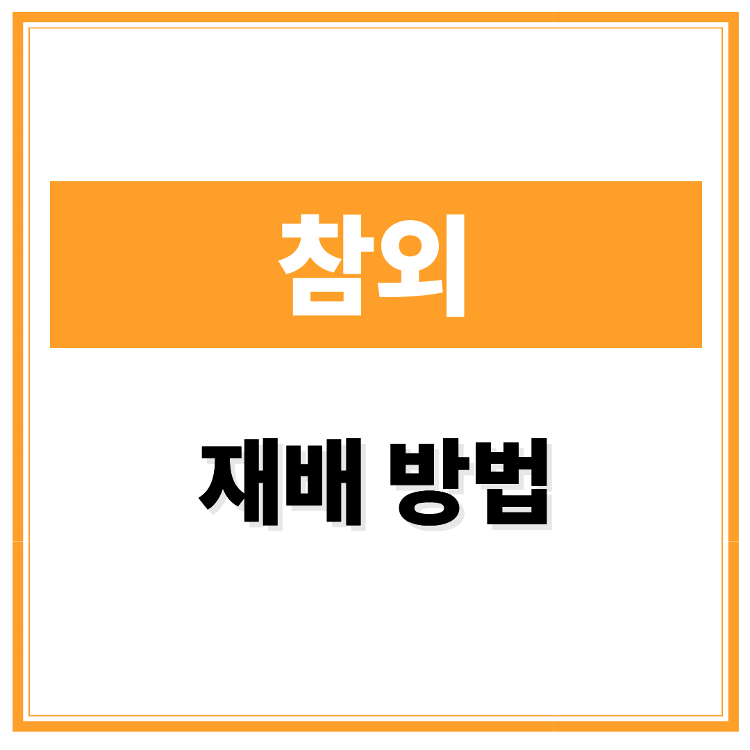 참외 재배 방법