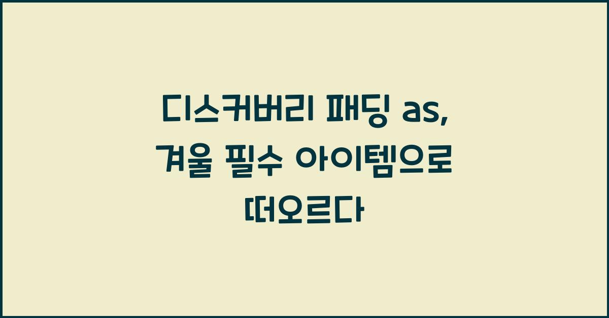 디스커버리 패딩 as