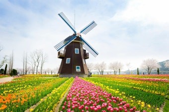 순천만국가정원 세계정원사진