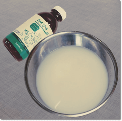 쌀뜨물 EM 발효액