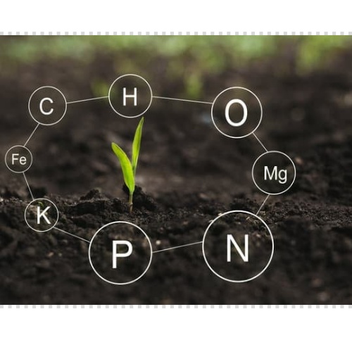 면역력 높이는 방법 강화 음식