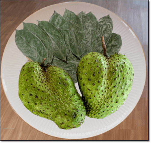 그라비올라 효능