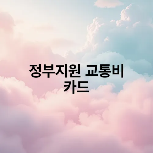 정부지원 교통비 카드