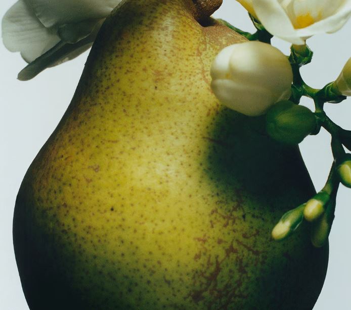 조말론 잉글리쉬 페어 앤 프리지아 