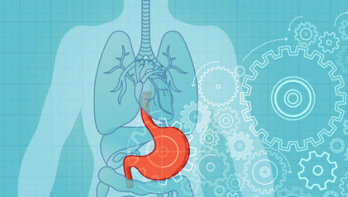 위암 초기증상, 수술비용, 수술후 회복기간 총정리 (2024ver)