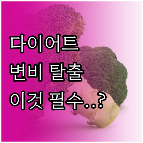 다이어트 변비 해결법 식이섬유 식단과..
