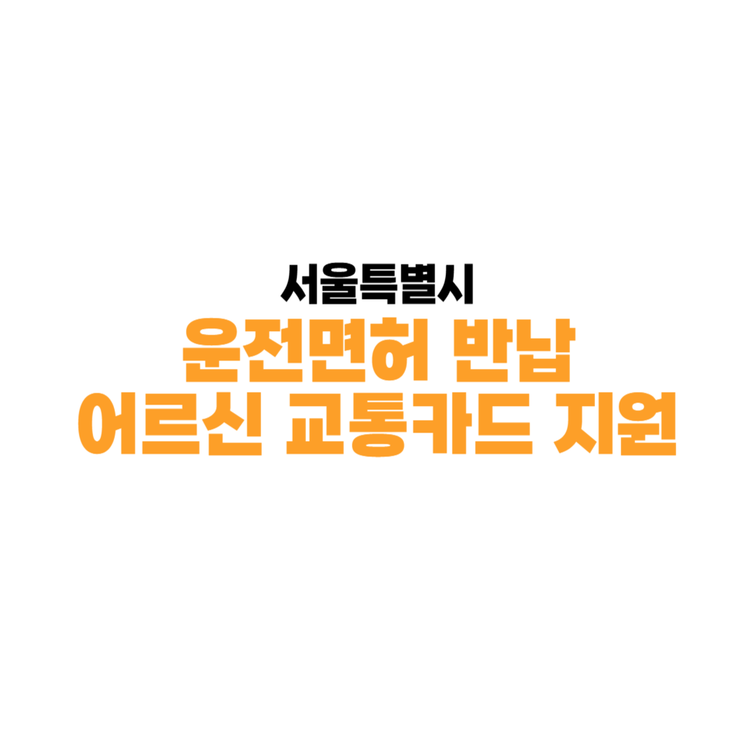 운전면허 반납 어르신 교통카드 지원 안내