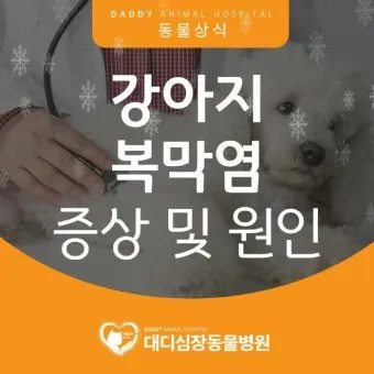 강아지 복막염 원인과 치료 방법_11