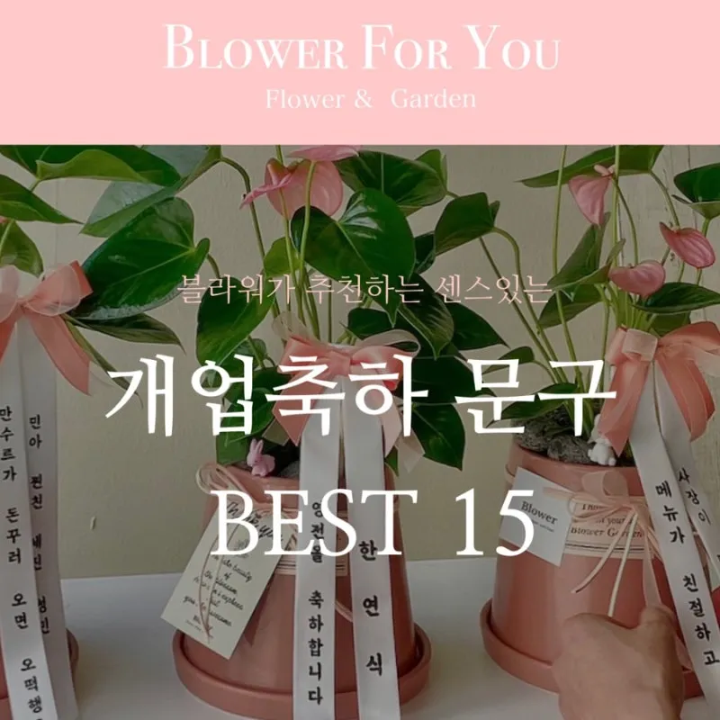 개업 축하 인사 화분 카드 문구 번창 기원 덕담 센스 있게_6