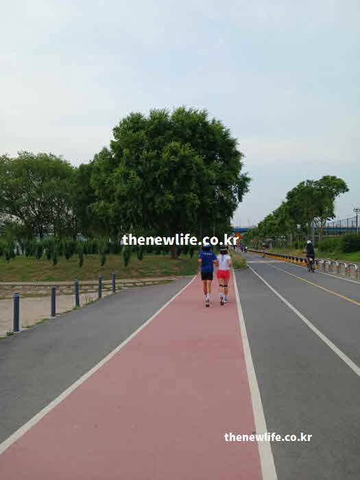 간 좋은 음식 운동 조깅