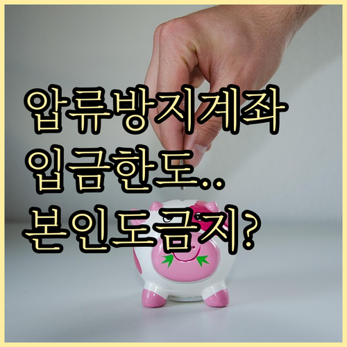 압류방지 전용계좌 입금 한도와 본인 ..