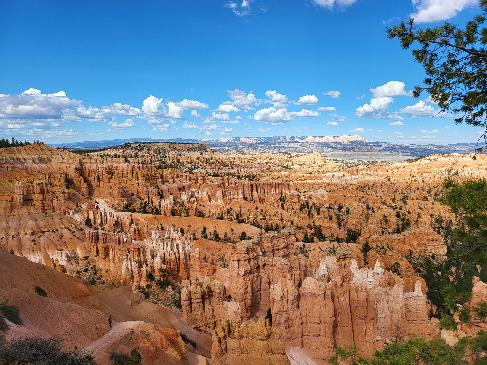 한여름 그랜드캐니언 날씨