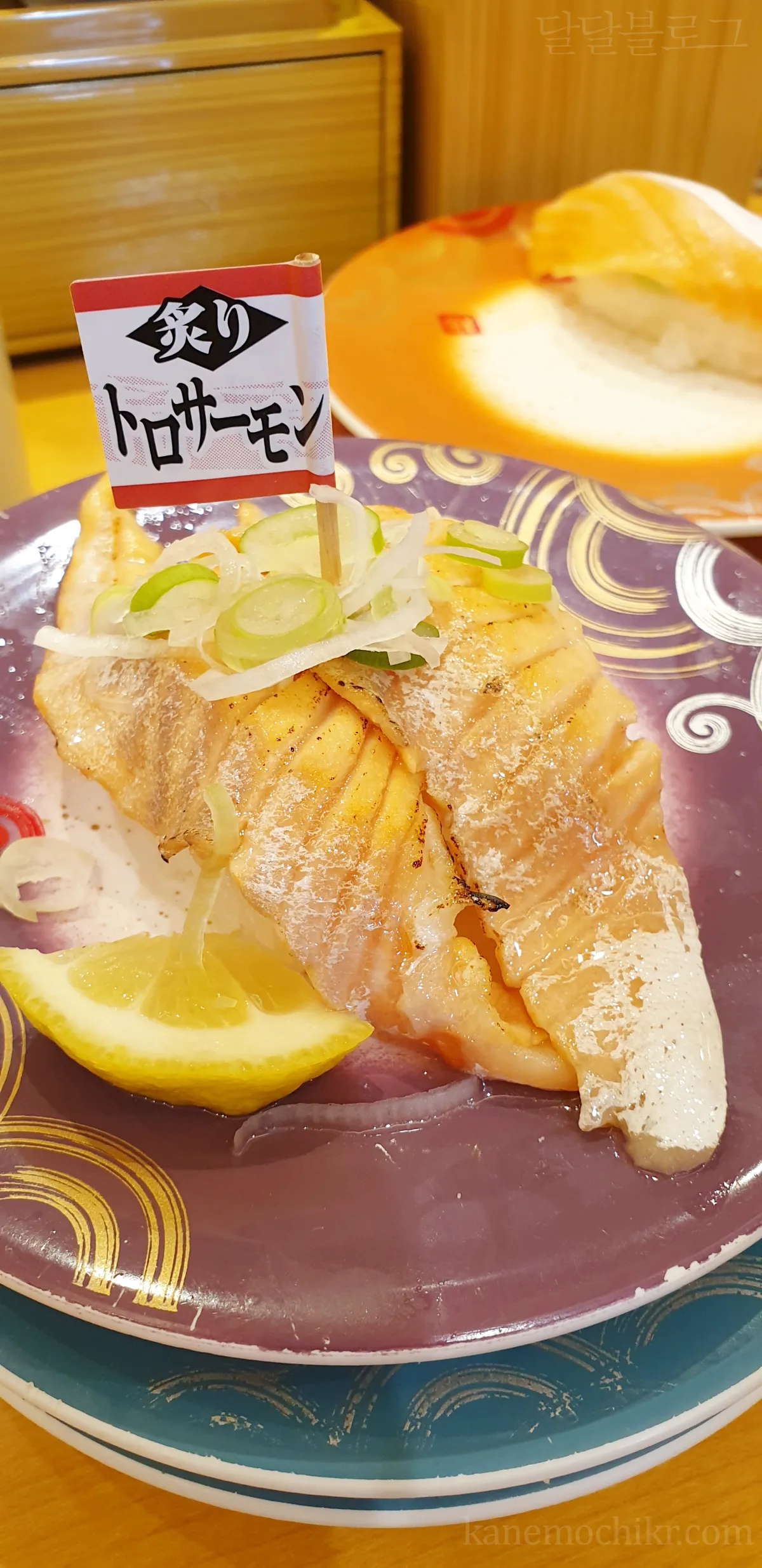 삿뽀로-토리톤-회전초밥