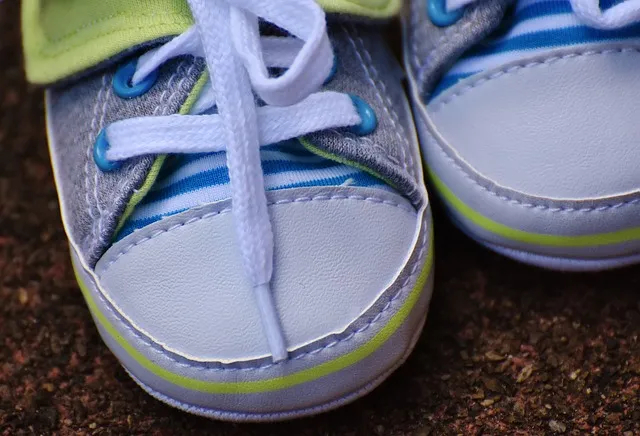 에글릿, 신발끈의 작은 보호자