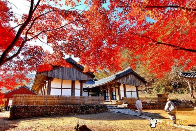 공주 마곡사 2