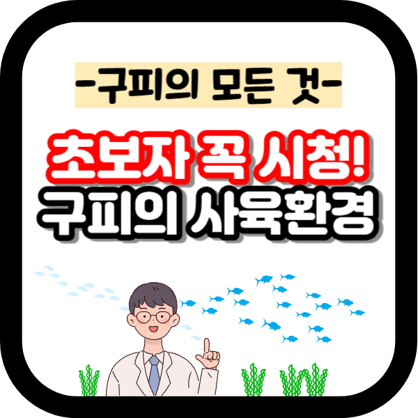 구피를 잘 키우기 위한 최적의 사육 환경