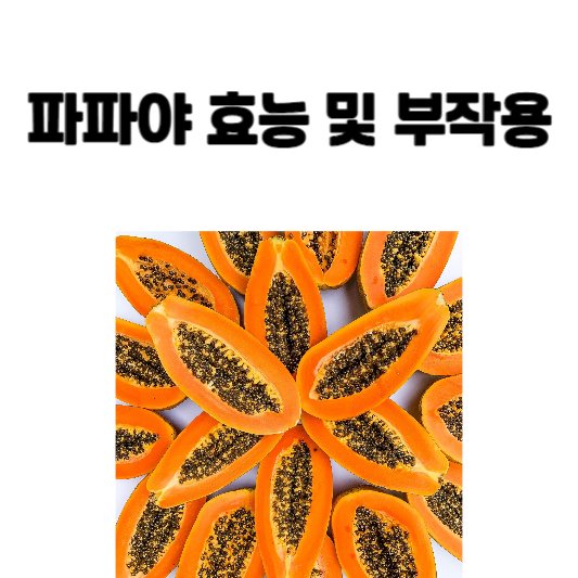 파파야 효능 및 부작용