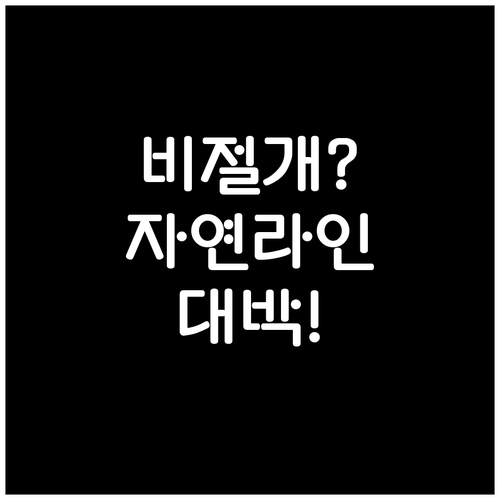 비절개 모발이식 자연스러운 헤어라인의..