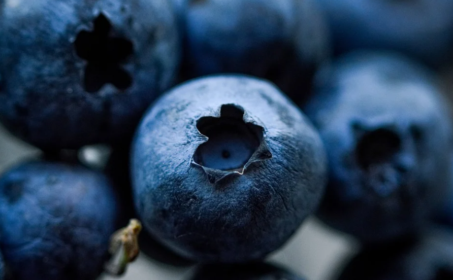 블루베리 효능 / 부작용 (+칼로리와 영양성분) 블루베리 효능 / 부작용 (+칼로리와 영양성분)