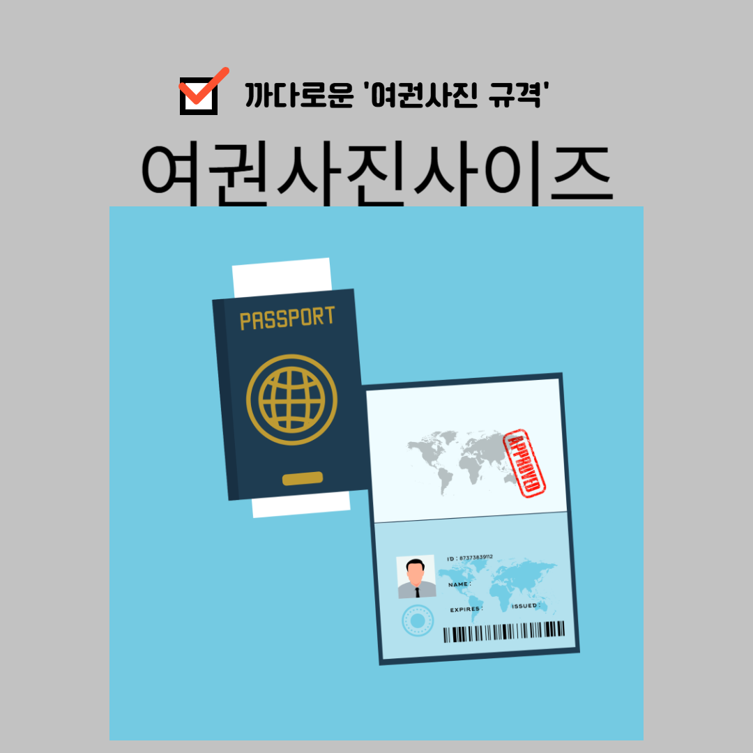 여권사진규격