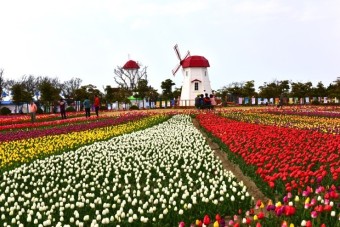 신안 임자도 큘립축제