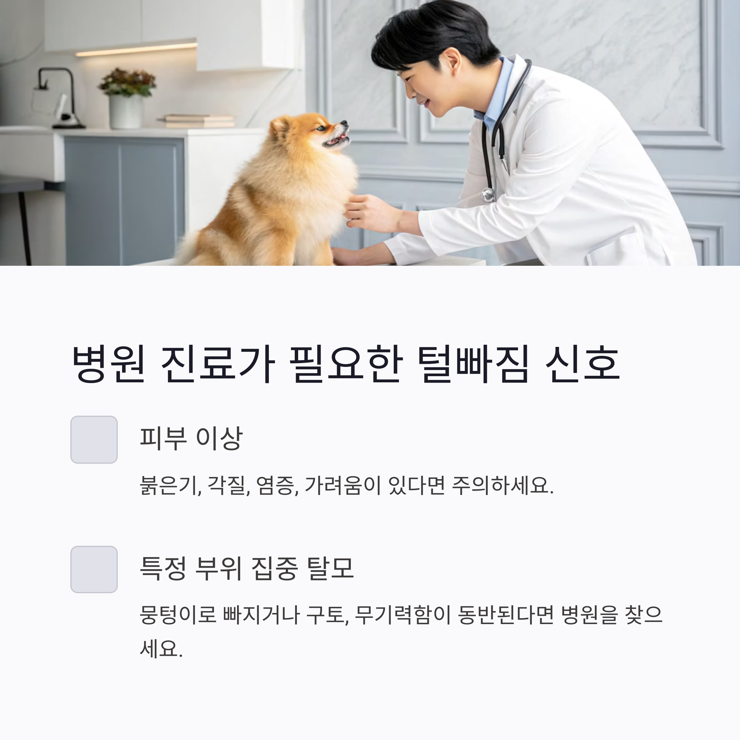 병원 진료가 필요한 털빠짐 신호
