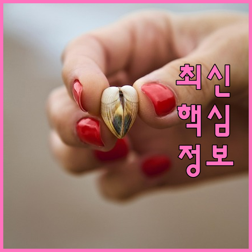 대구 중구 하서동 대형폐기물, 완벽하..