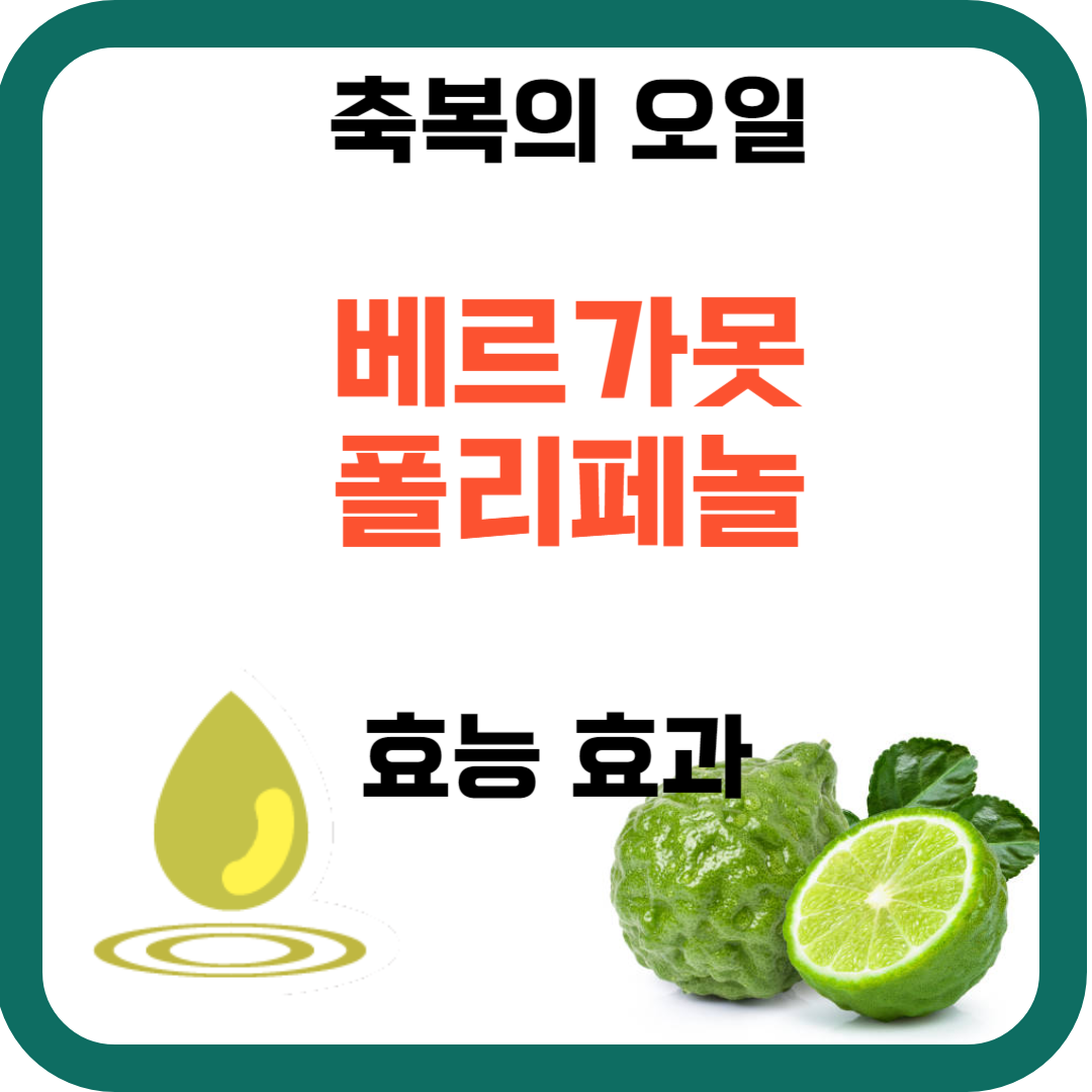 베르가못 폴리페놀 효능 사용법 먹는법 부작용