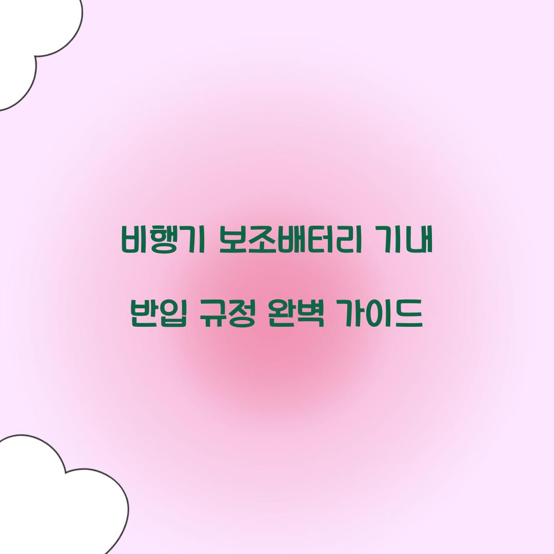 비행기 보조배터리