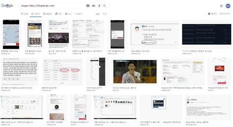 이미지 호스팅