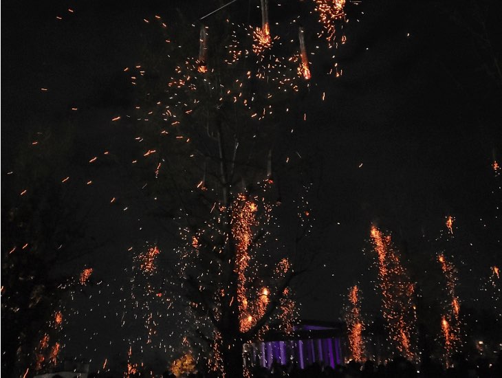 세종 낙화축제 주차장 명당자리